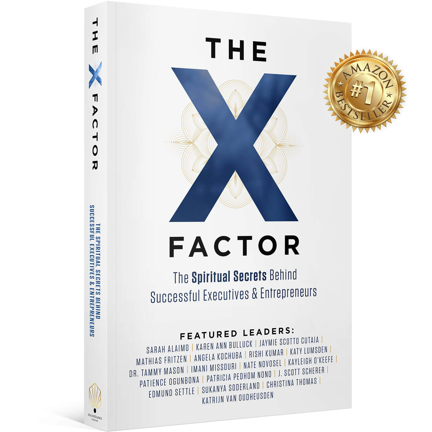 The X-Factor: The Spiritual Success Behind Successful Executives & Entrepreneurs - Mathias Fritzen